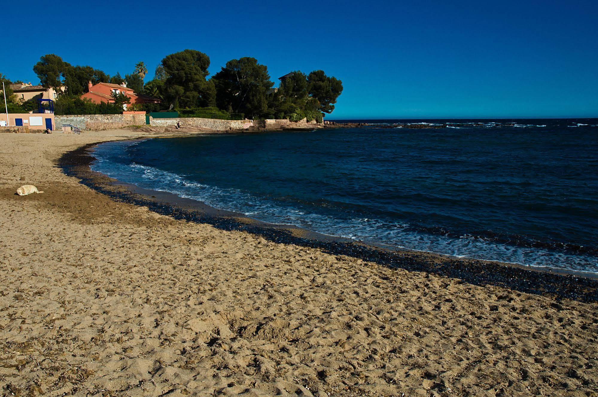 Hotel Et Studios Les Amandiers Saint-Raphaël Eksteriør bilde